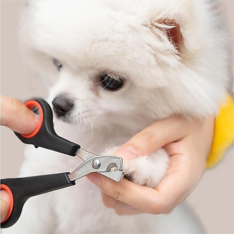 1 Peça Para Tosar/ Tesoura De Unha Pet Profissional Promoção