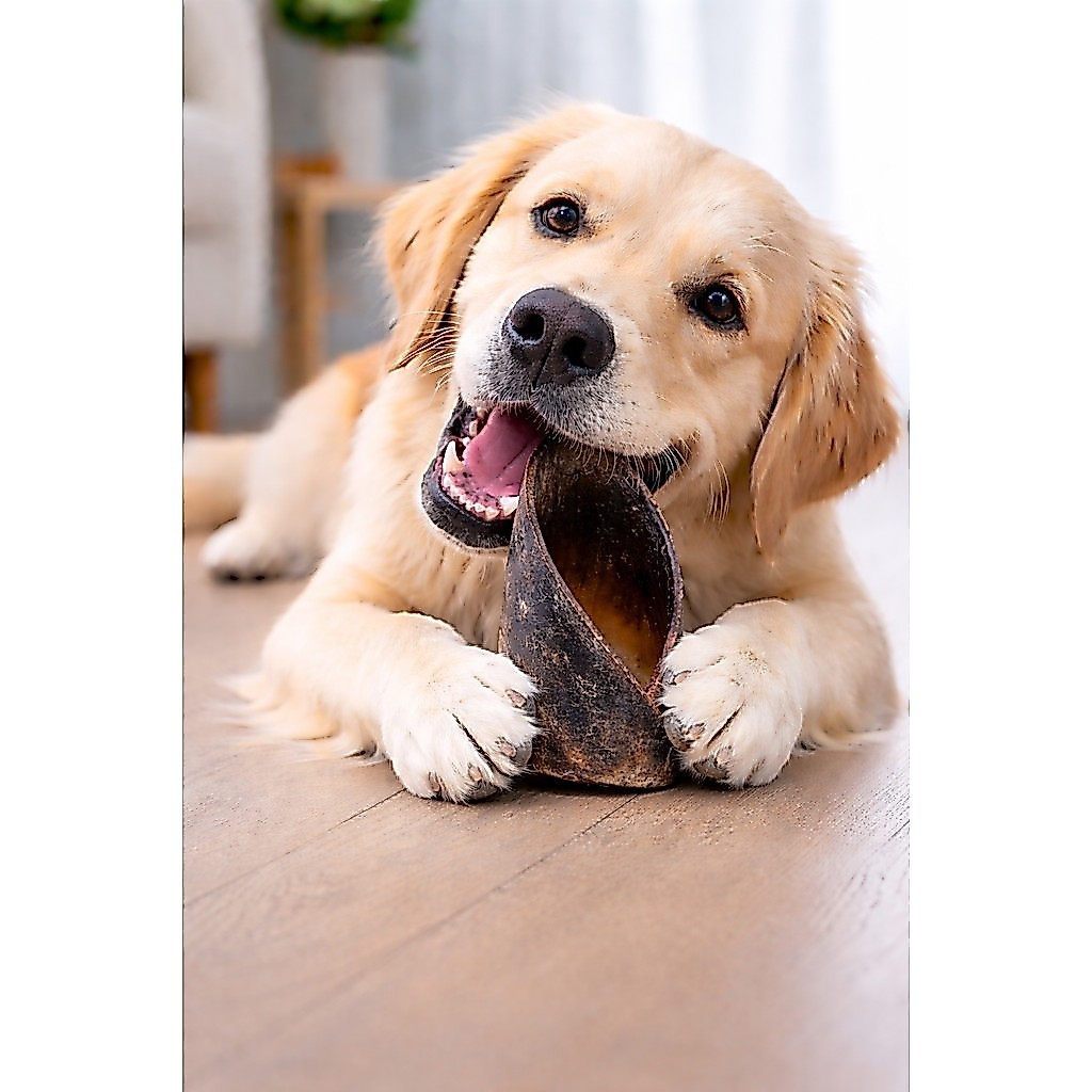 Mordedor Natural Para Cachorro Casco Bovino Petisco Para Cães
