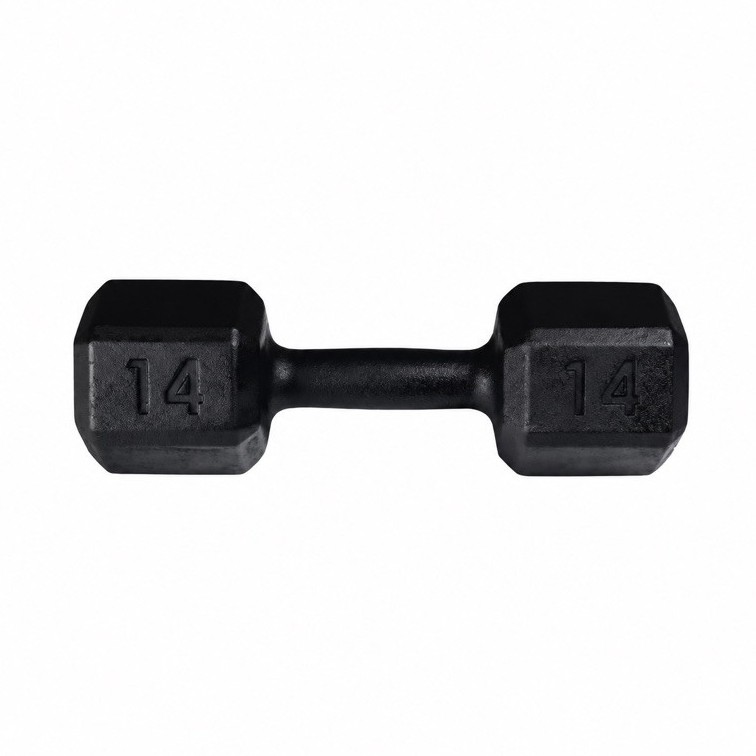 UNIDADE Halter Pintado Emborrachado 14kg Treino Musculação Academia