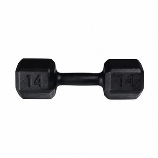 UNIDADE Halter Pintado Emborrachado 14kg Treino Musculação Academia