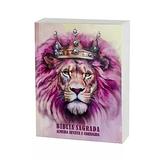 Bíblia Sagrada - João Ferreira de Almeida - Ed. Promessas | Barato | Envio Rápido