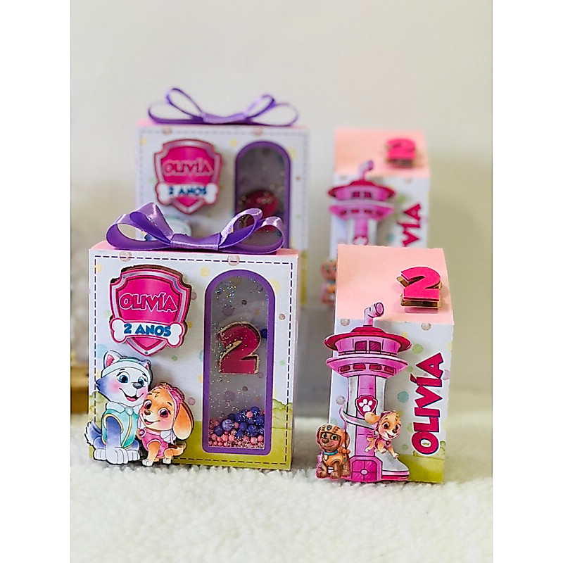 kit 10 Caixas Personalizadas Patrulha Canina Skye-Lembrancinha-Festa Infantil Patrulha Canina-Aniversário Infantil Skye
