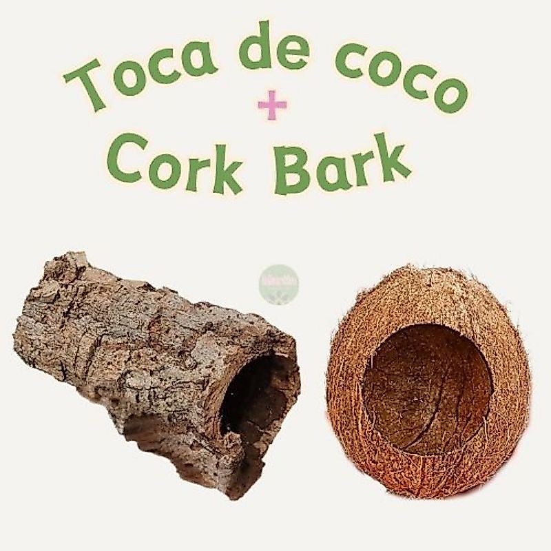 Kit Cork Bark + toca de coco, natural, terrário, hamster, Gerbil, repteis