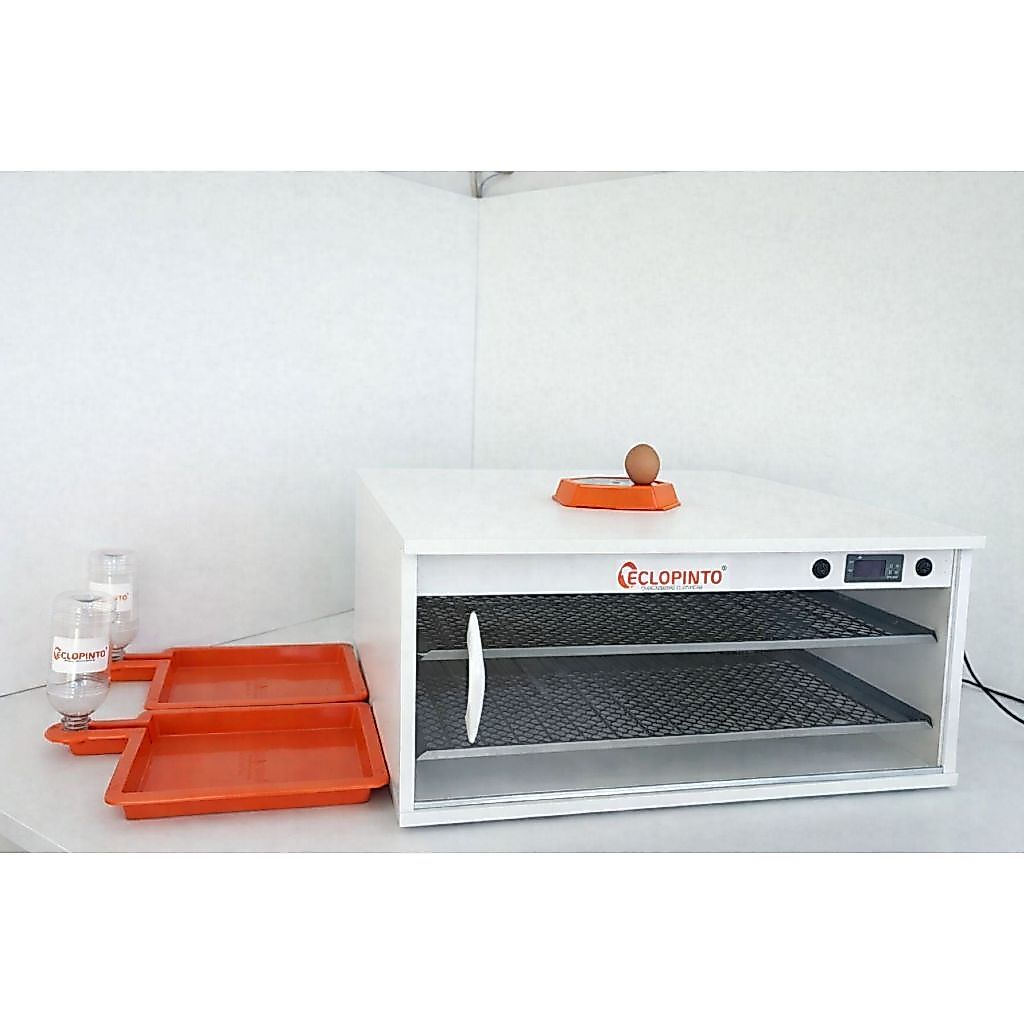 Chocadeira Eclopinto - 200 Ovos