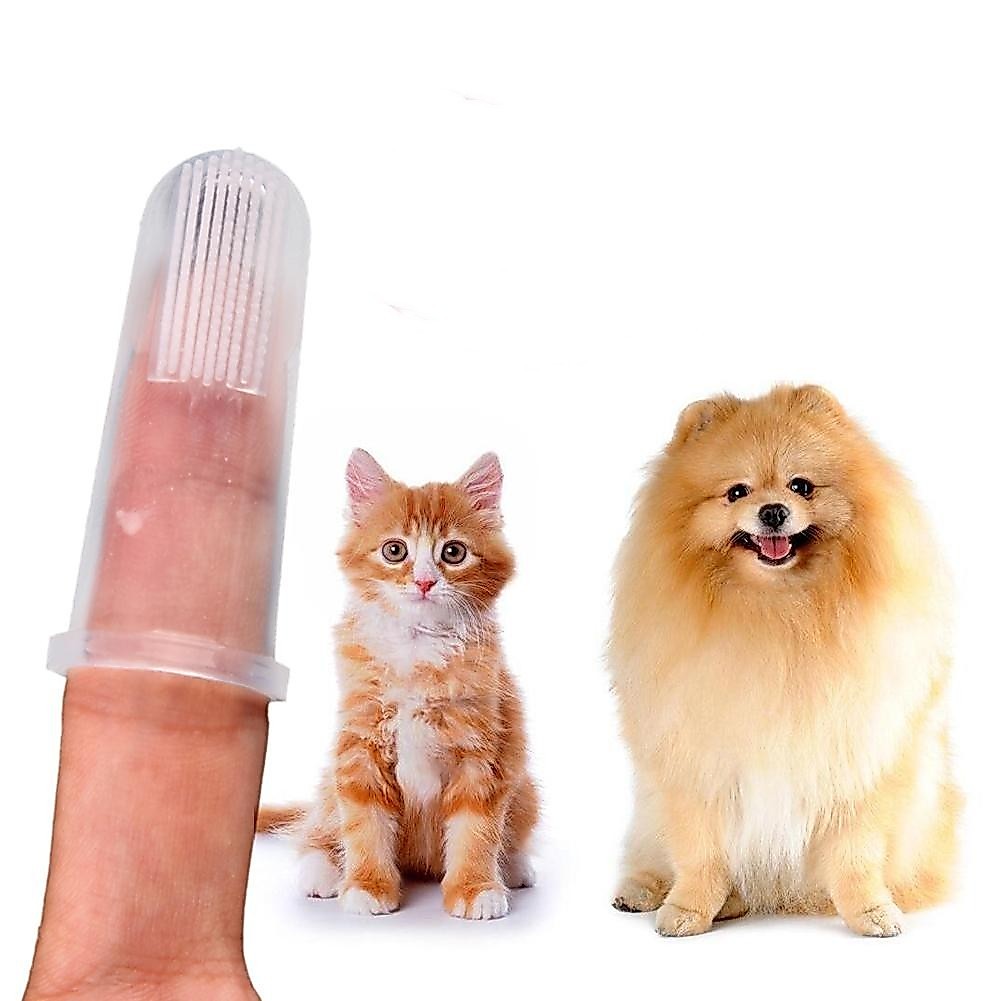 3/10PCS Escova de dente flexível para cachorro e gato Fácil de operar