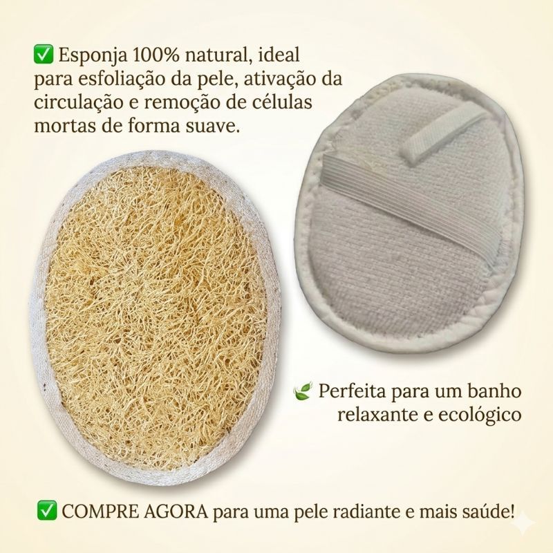 bucha vegetal esponja Banho vegetal Natural Corporal promoção atacado 3 Unidades - Forradas  - sortidas