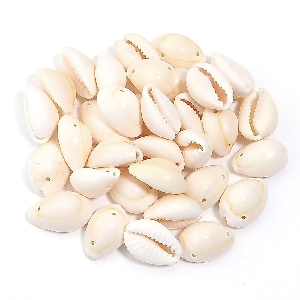 Búzios Cortados Naturais do Mar 50g Aprox 37 Pçs Para Bijuteria Artesanato Decoração