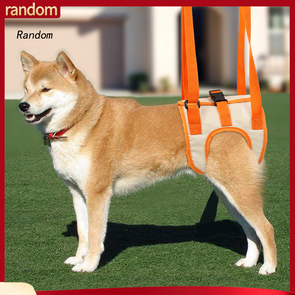 ♥ RAN Cinto De Perna Para Animais De Estimação Ajustável Fivela Fixa Dupla Portátil Arnês De Engenharia Cachorro
