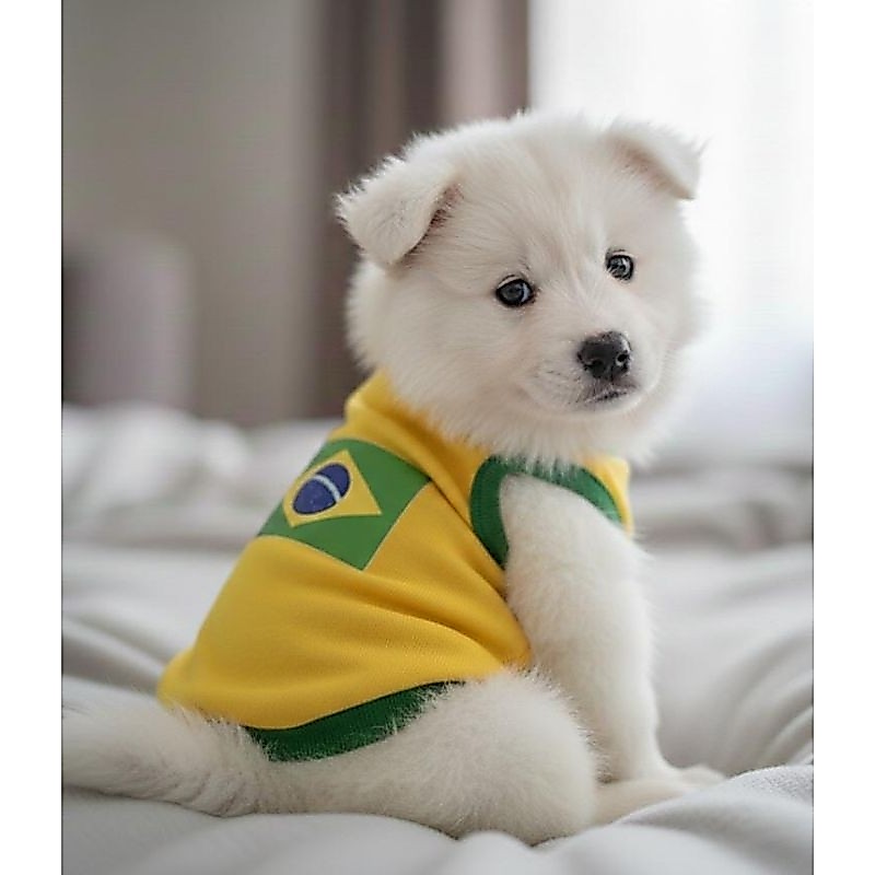 Regata pet para cães e gatos filhote/Roupinhas pet copa .