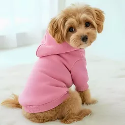 Roupa Para Cachorro Com Capuz. Roupa Pet Pequeno Gato Moletom Pincher Shitzu Adidog