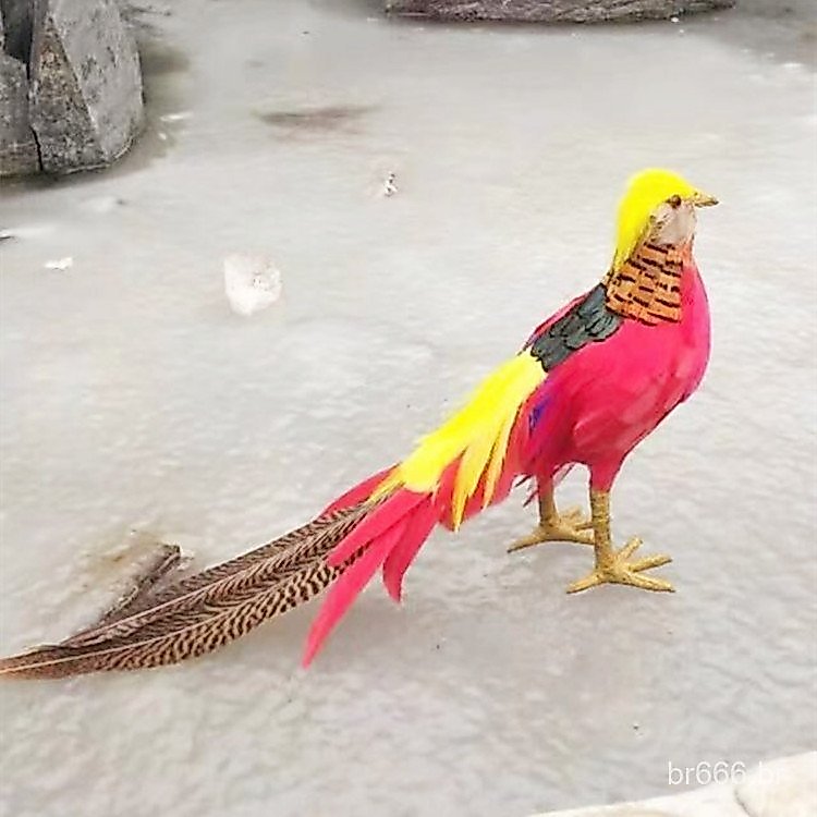 Modelos de animais sob encomenda, galinhas de imitação, galinhas falsas, aves de penas artificiais, adereços para fotogr