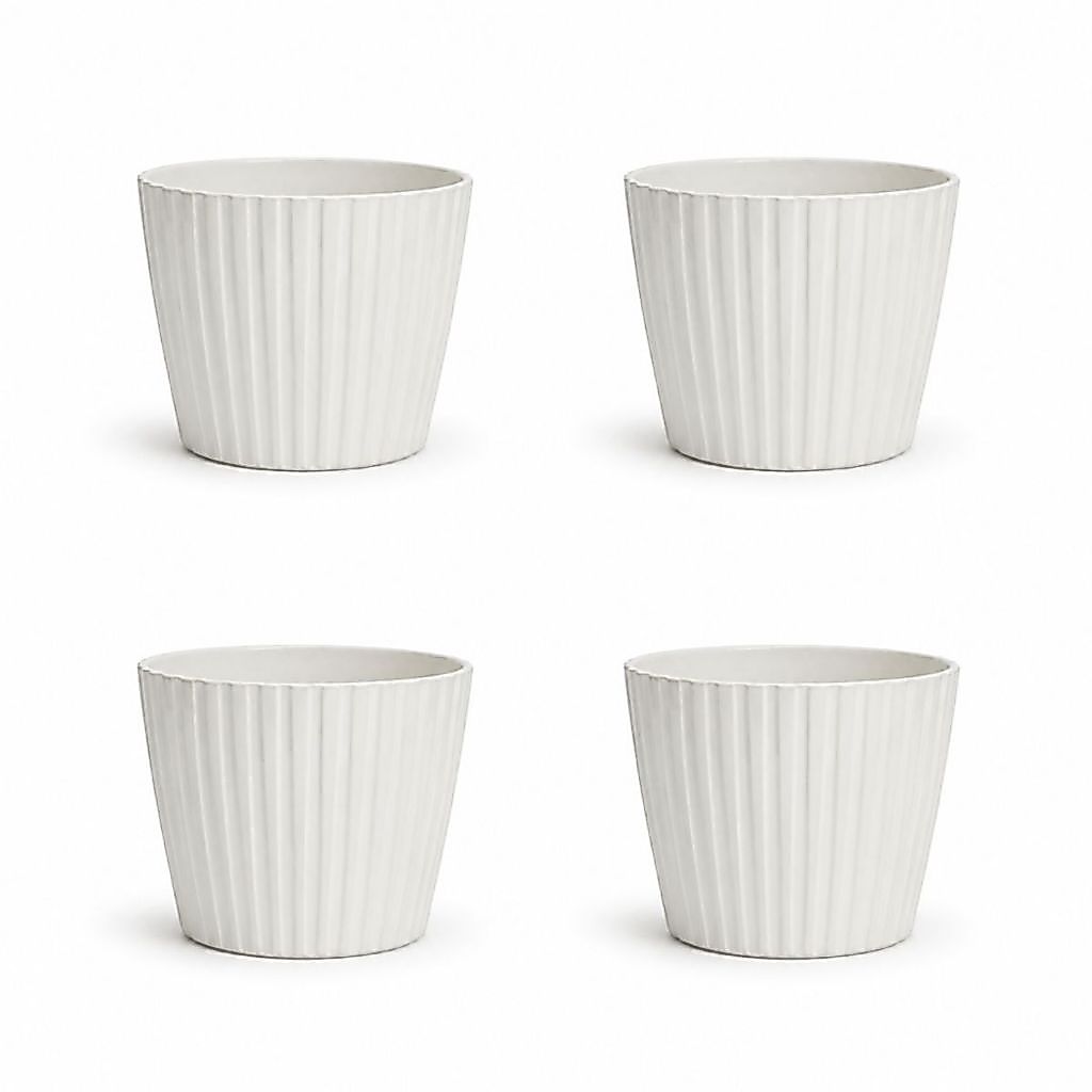 Kit 4 Mini Vasos Texturizados para Cactos, Suculentas e Plantas Pequenas