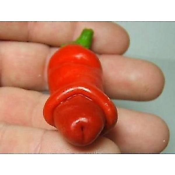 100 Sementes Pimenta Peter