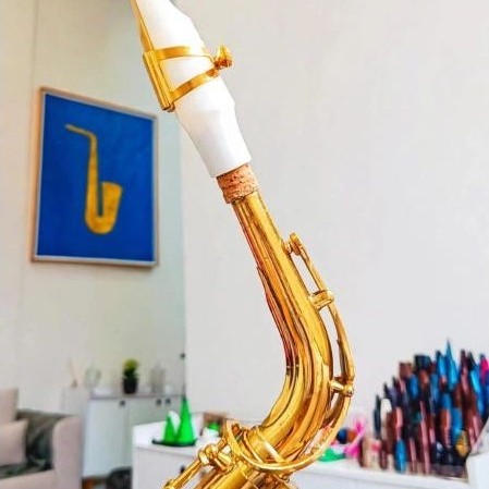 Boquilha sax alto com rampa número 7 e 8 indicado para músicos intermediário e profissionais .