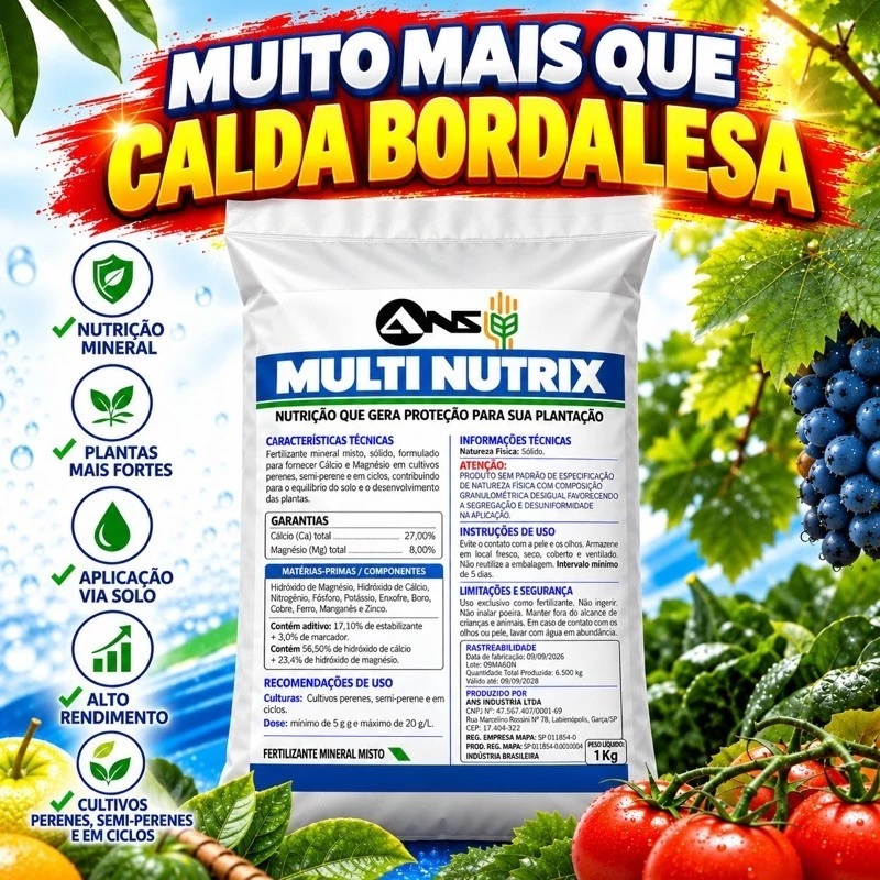 Calda Bordalesa Pronta kit  fertilizante misto 2kg Rende 100 Litros — imagem 1