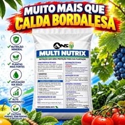Calda Bordalesa Pronta kit fertilizante misto 2kg Rende 100 Litros