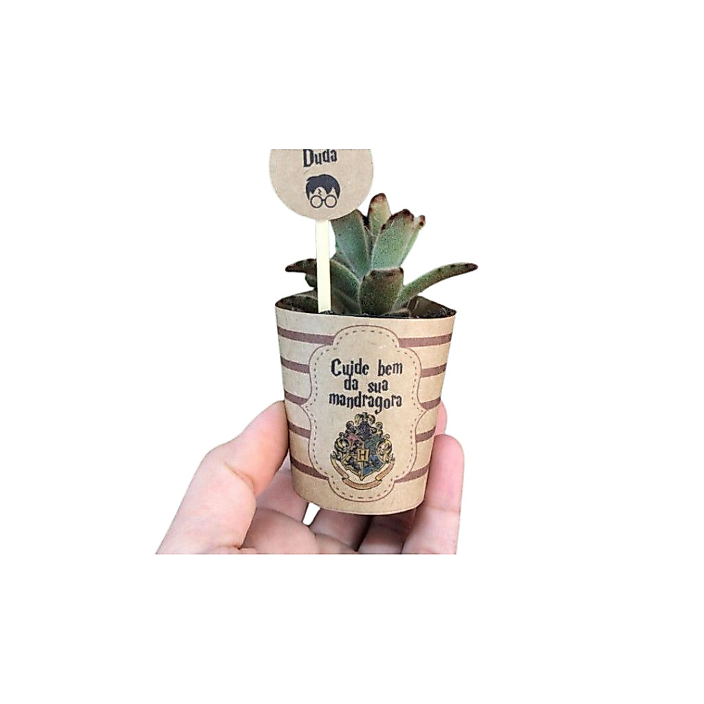 25 Rótulos + 25 Tags PERSONALIZADAs COM O TEMA Harry Potter/ PARA LEMBRANÇINHAS ANIVERSARIOS E TODOS TIPOS DE EVENTOS