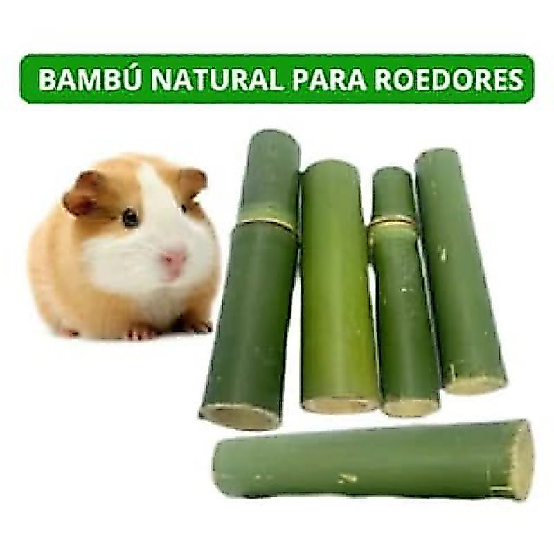 Brinquedo Bambú Natural Para Roedores Porquinho Da india Hamster coelho