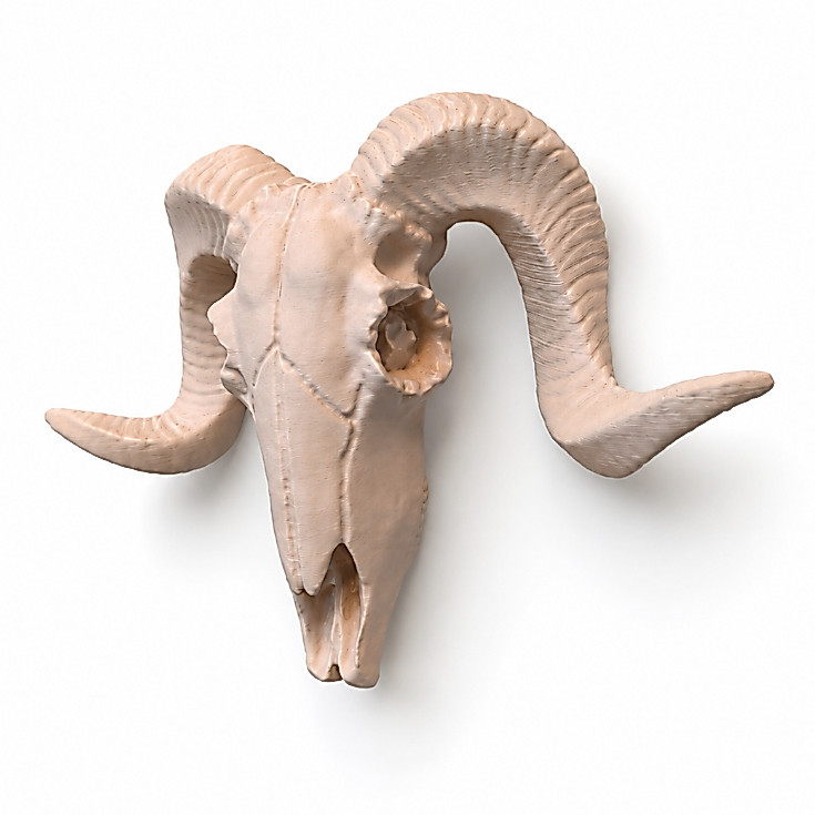 Cabeça de Carneiro Escultura Decorativa Artificial | Decoração Rústica Mesa ou Parede