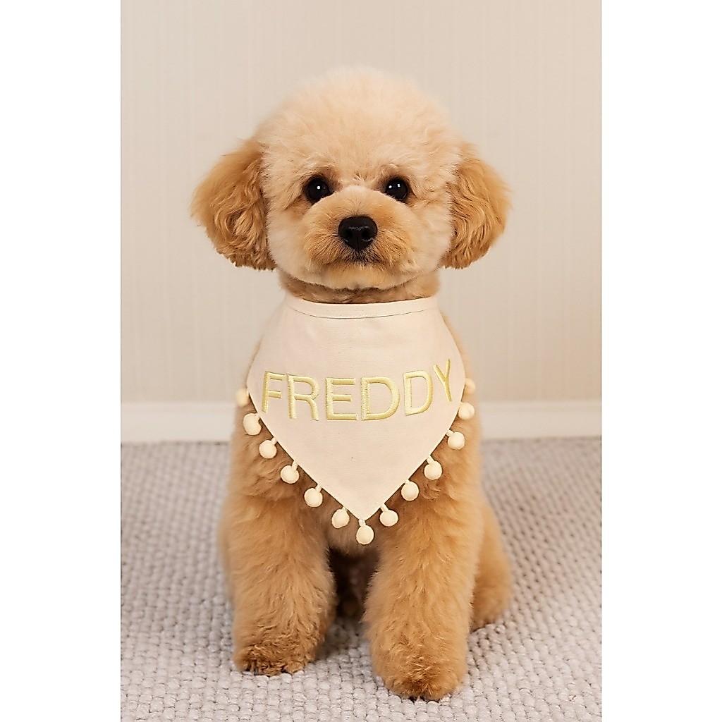bandana pet tecido algodão cru personalizada com o nome do pet bordado + pompom para pet shop, banho e tosa, cachorro