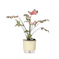 Vaso Autoirrigável Médio N03 16cm x 14cm - Terrazzo Calcário