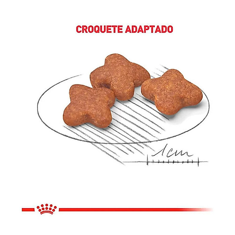Ração Royal Canin Mini Adult 8+ Para Cães Idosos De Raças Pequenas 7,5kg — imagem 2 de 2