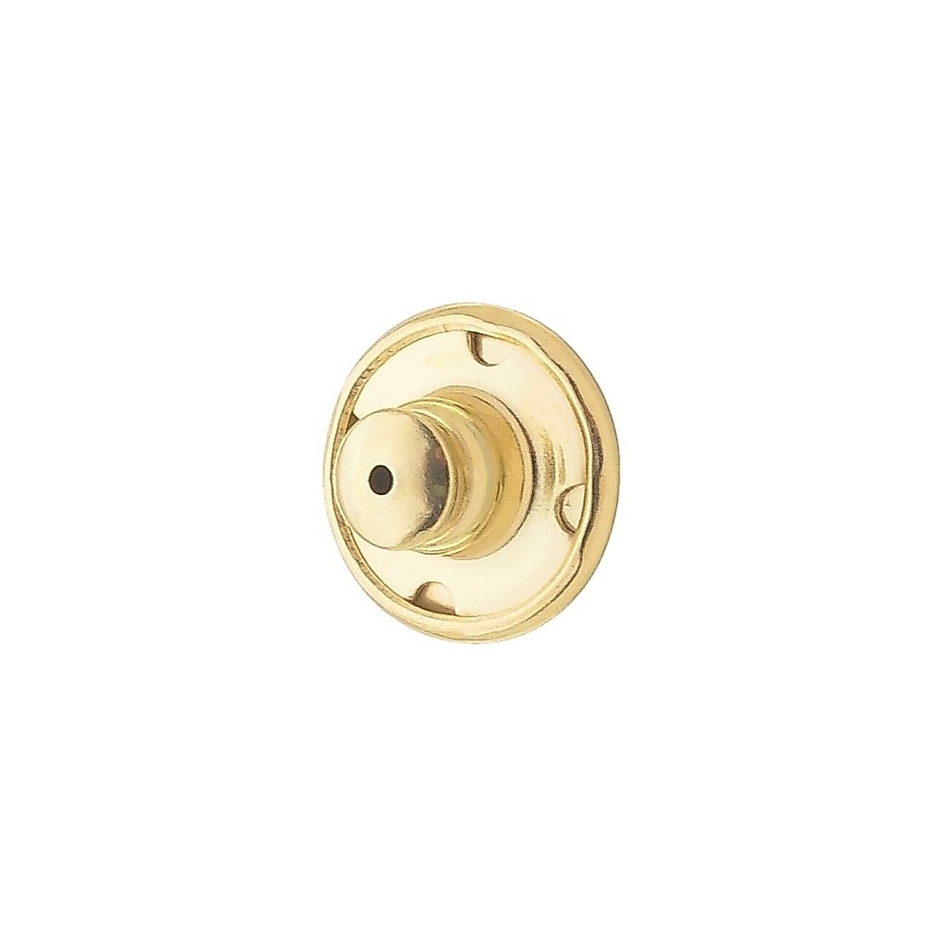 TARRAXA AMERICANA PIUKA FOLHEADA A OURO 18K