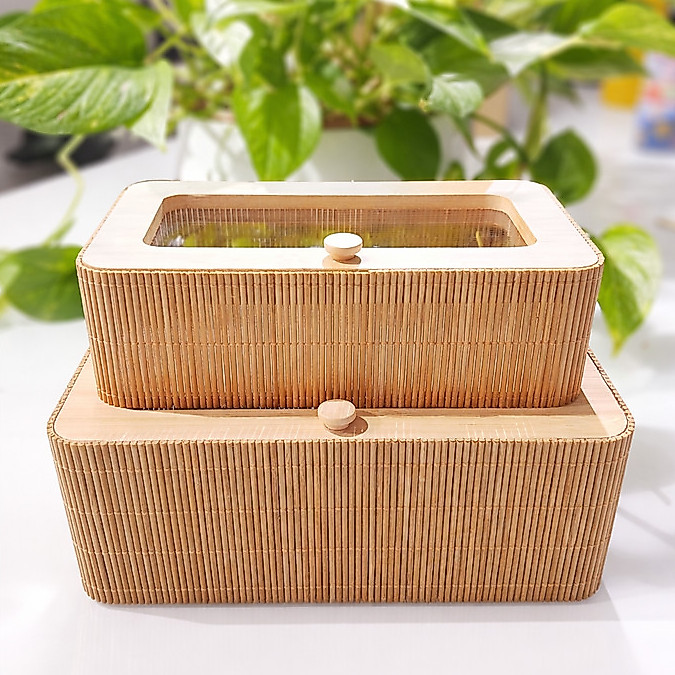 Kit Organizador Bambu com Tampa Acrílica 2 Peças ​Porta Objetos Elegante 10007-KIT-C1-POJORGRTA