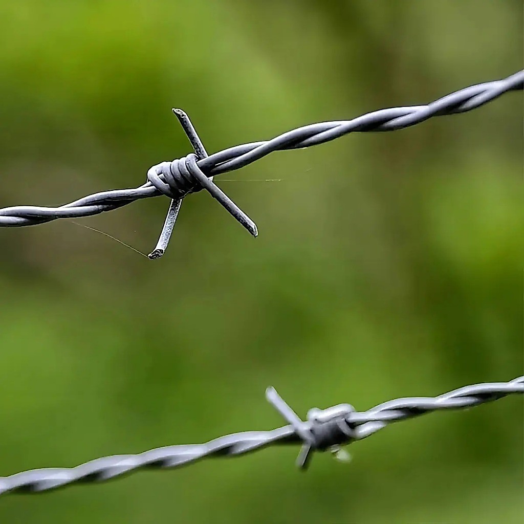 Arame Farpado Nelore Fio 16 – Resistência de 250 kgf | Rolo com 250 m · foto 2