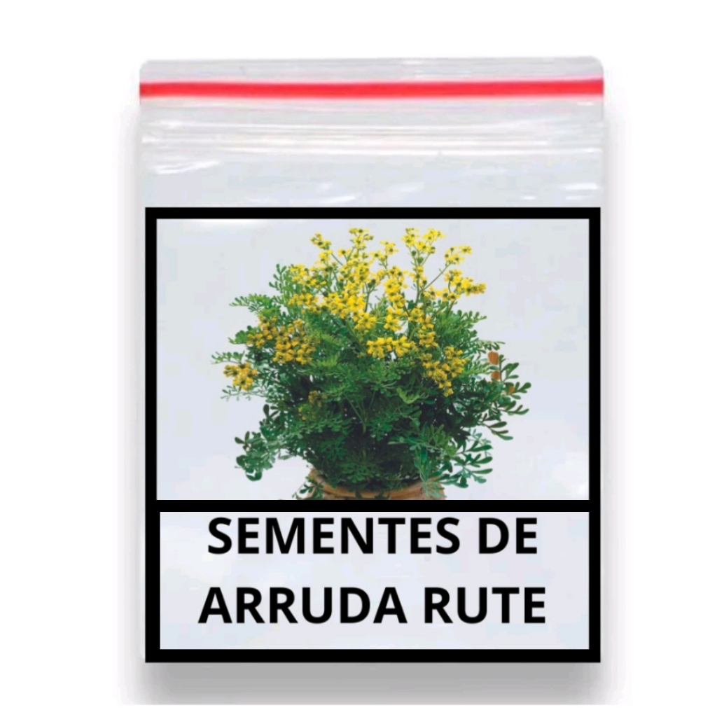 137 Sementes Arruda Ou Ruta De Cheiro Forte