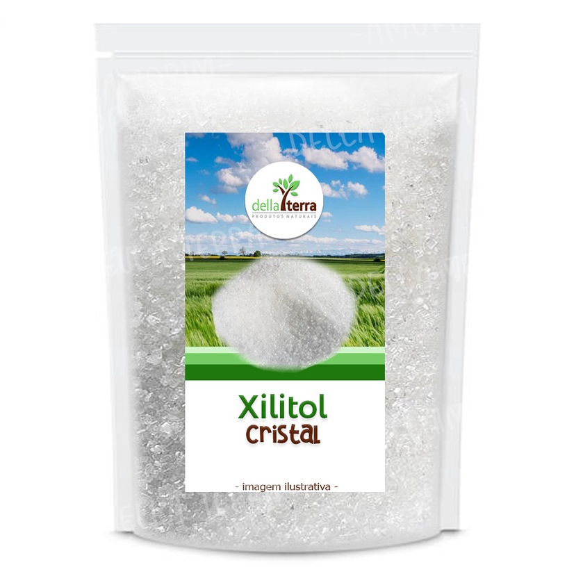 Xylitol Xilitol Cristal Puro 500g Della Terra Shopee Brasil