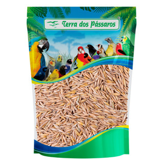 Semente de Aveia com Casca - 200g