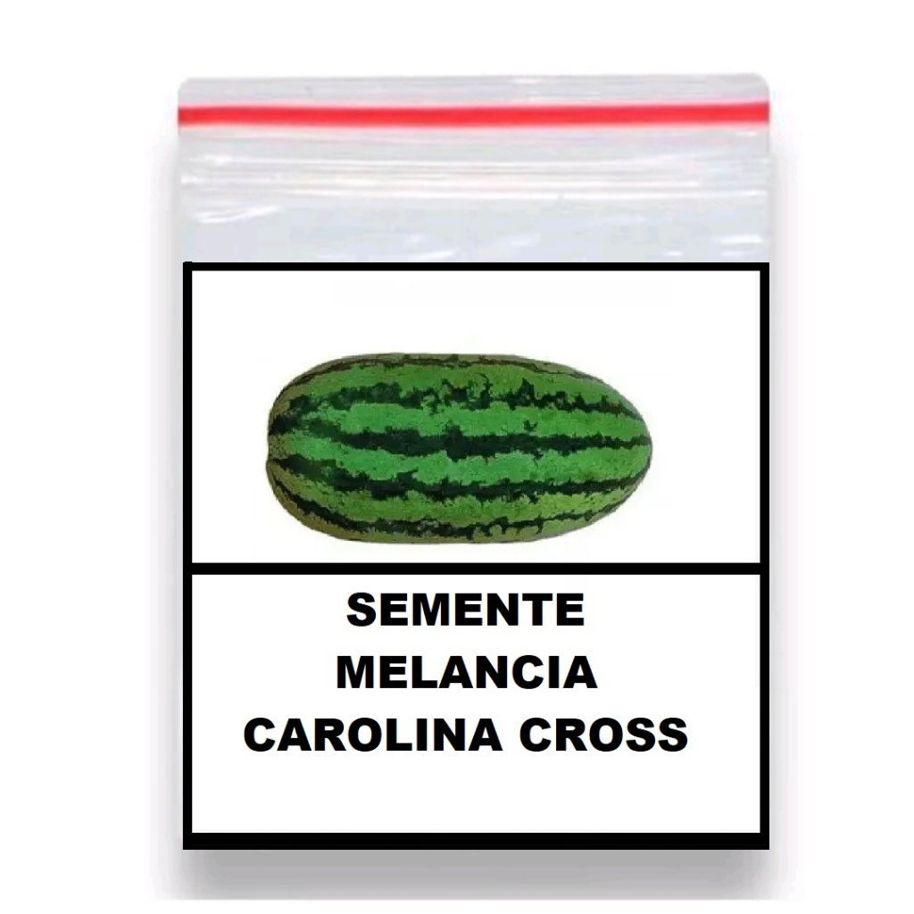 1.000 Sementes Melancia Gigante Carolina Cross