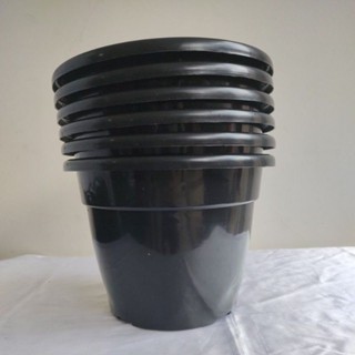 Kit 6 Potes 24 para Plantas na cor Preta