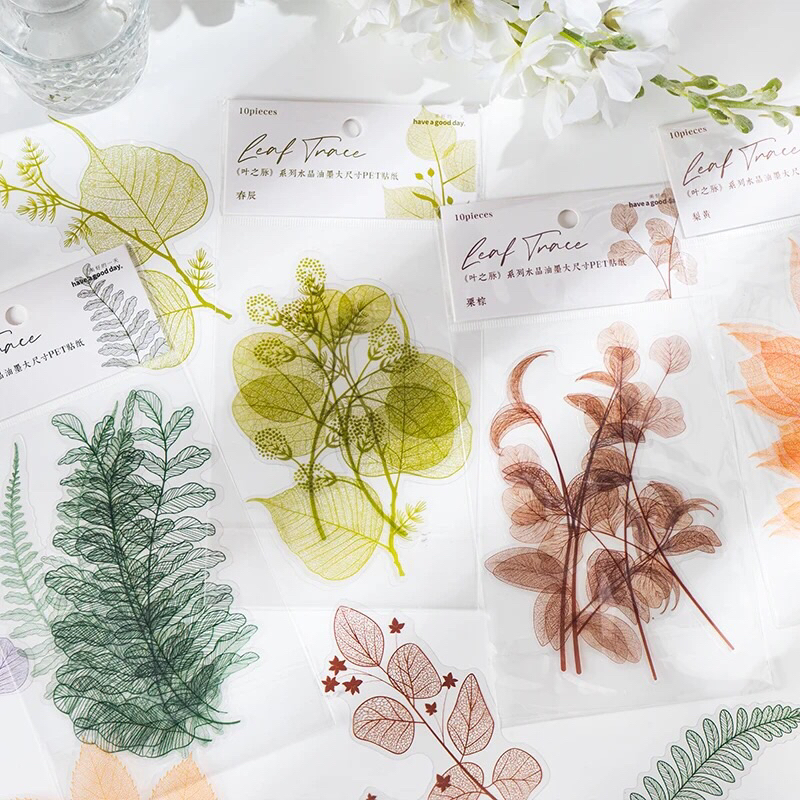 Conjunto de adesivos em pet “Leaf Trace”