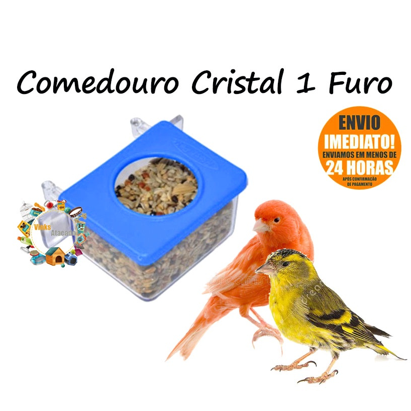Kit 12 Comedouro Cristal 1 Furo Garra Com Suporte Para Passarinhos Pequenos Canario Tarin Tizil Coleiro Pintassilgo