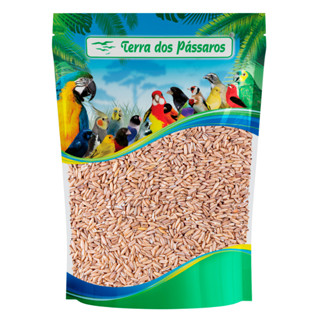 Semente de Aveia sem Casca para Pássaros - 200g