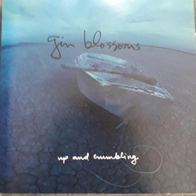 CD Gin Blossoms – Up And Crumbling
