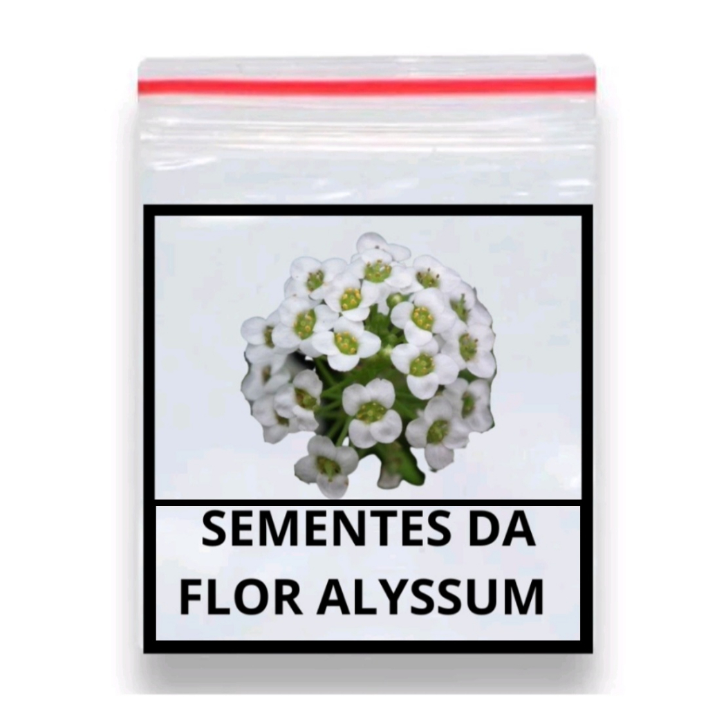 70 Sementes Alyssum Odorante Tapete De Neve
