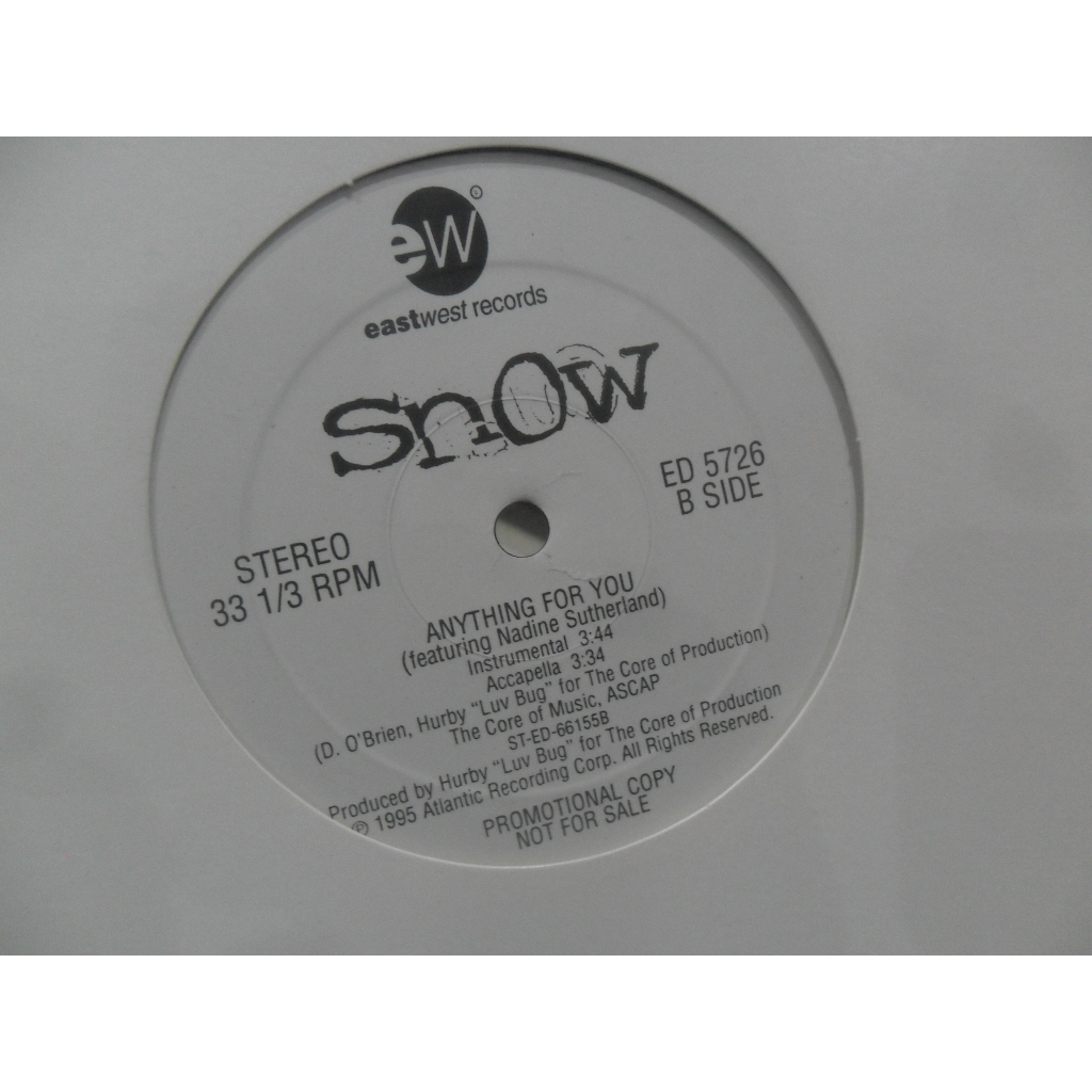 レゲエ レコード SNOW INFORMER