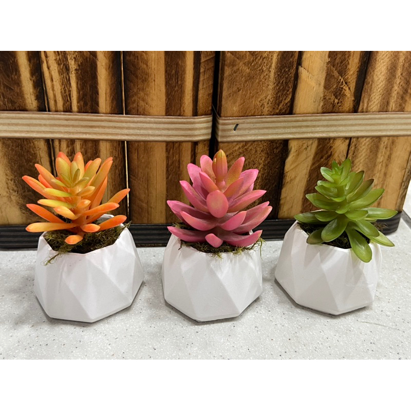 Kit c/ 3 arranjos suculenta artificial vaso de gesso(Tricolor) em Oferta na Shopee
