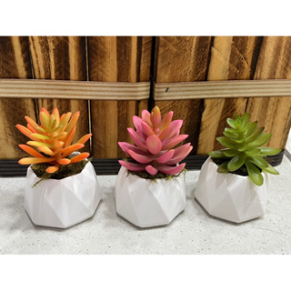 Kit c/ 3 arranjos suculenta artificial vaso de gesso(Tricolor) em Oferta na Shopee