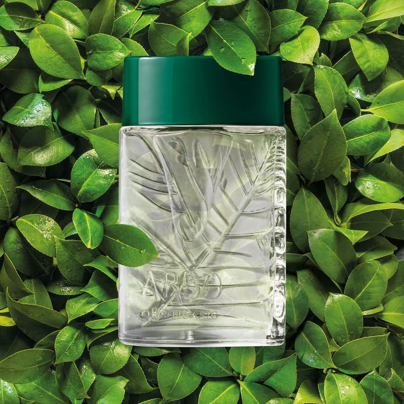 Arbo Desodorante Colônia 100ml — imagem 2 de 2