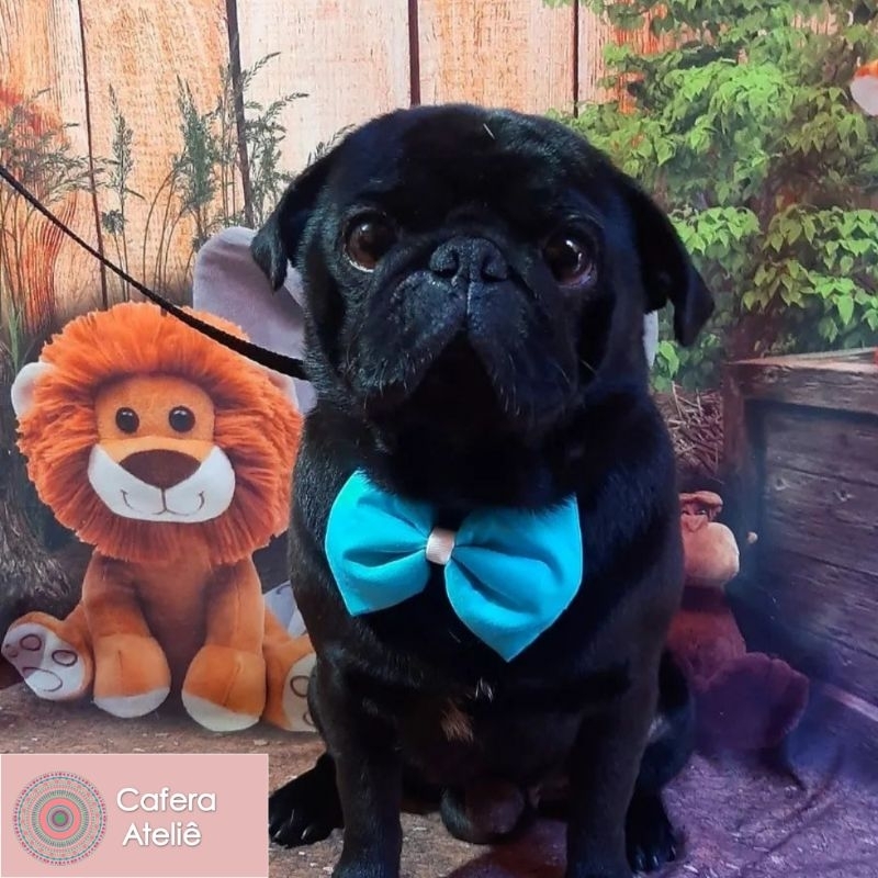 Kit com 10 Bandanas tipo Gravatas Borboleta para Pet