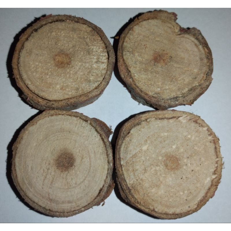 Lote de 10 bolacha de madeira - rústica - 3 cm de diâmetro - decoração enfeite artesanato artes - madeira natural