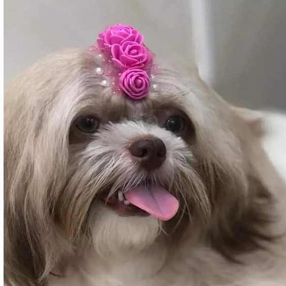 20 Laços Florzinha Penteado Pet Rosinhas EVA Artificial Mini Rosa Cachorro