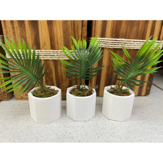 Kit com 3 arranjo de coqueirinho no vaso de gesso modelo octógono em Oferta na Shopee