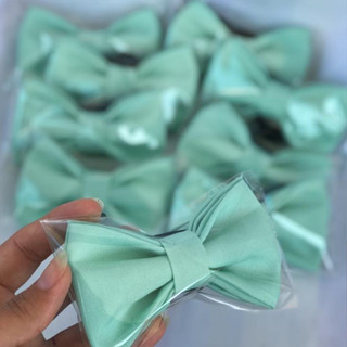 Kits de Borboleta Verde Menta