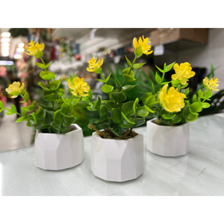 Kit com 3 arranjo de  florzinha amarelo no vaso de gesso mini em Oferta na Shopee