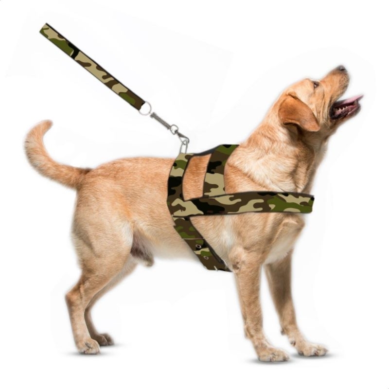 COLEIRA  PEITORAL + GUIA COM MOLA PORTE MEDIO /GRANDE